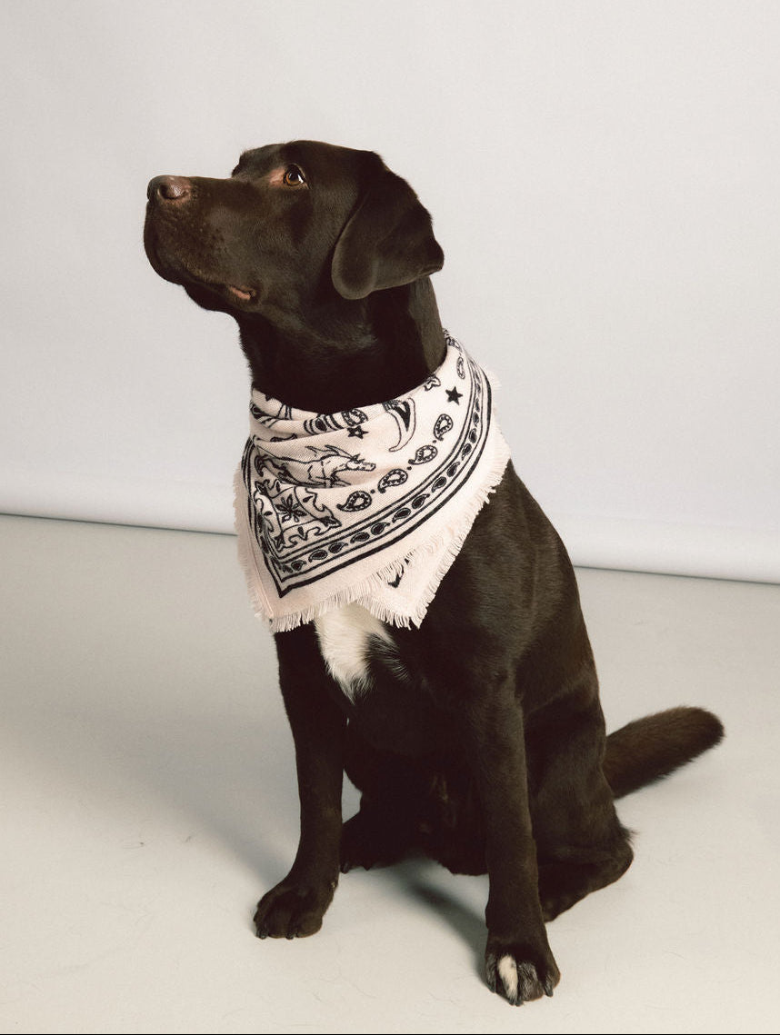 NELE SCARF SMALL IN SOFT CHAMPAGNE